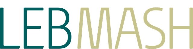 LebMASH — Inclusive Health